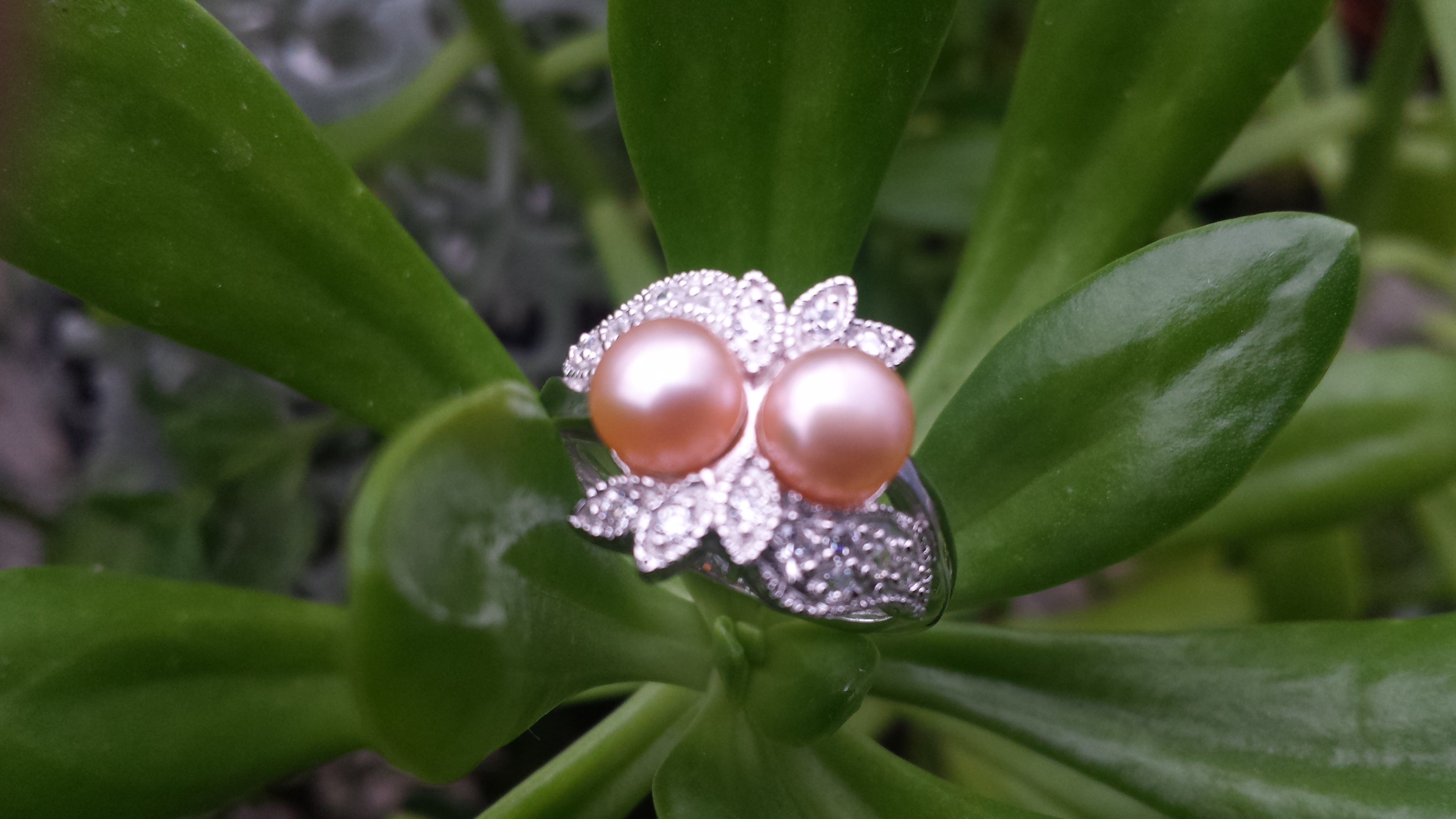 DOUBLE PINK NATURAL FRESHWATER PEARL RING WITH 925 STERLING SILV